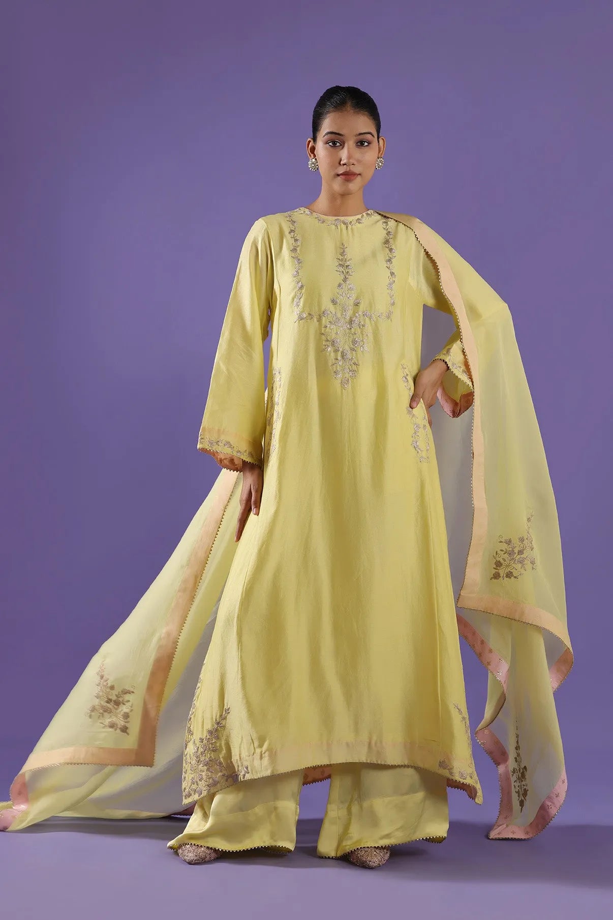 Chandni Choga & Palazoo set