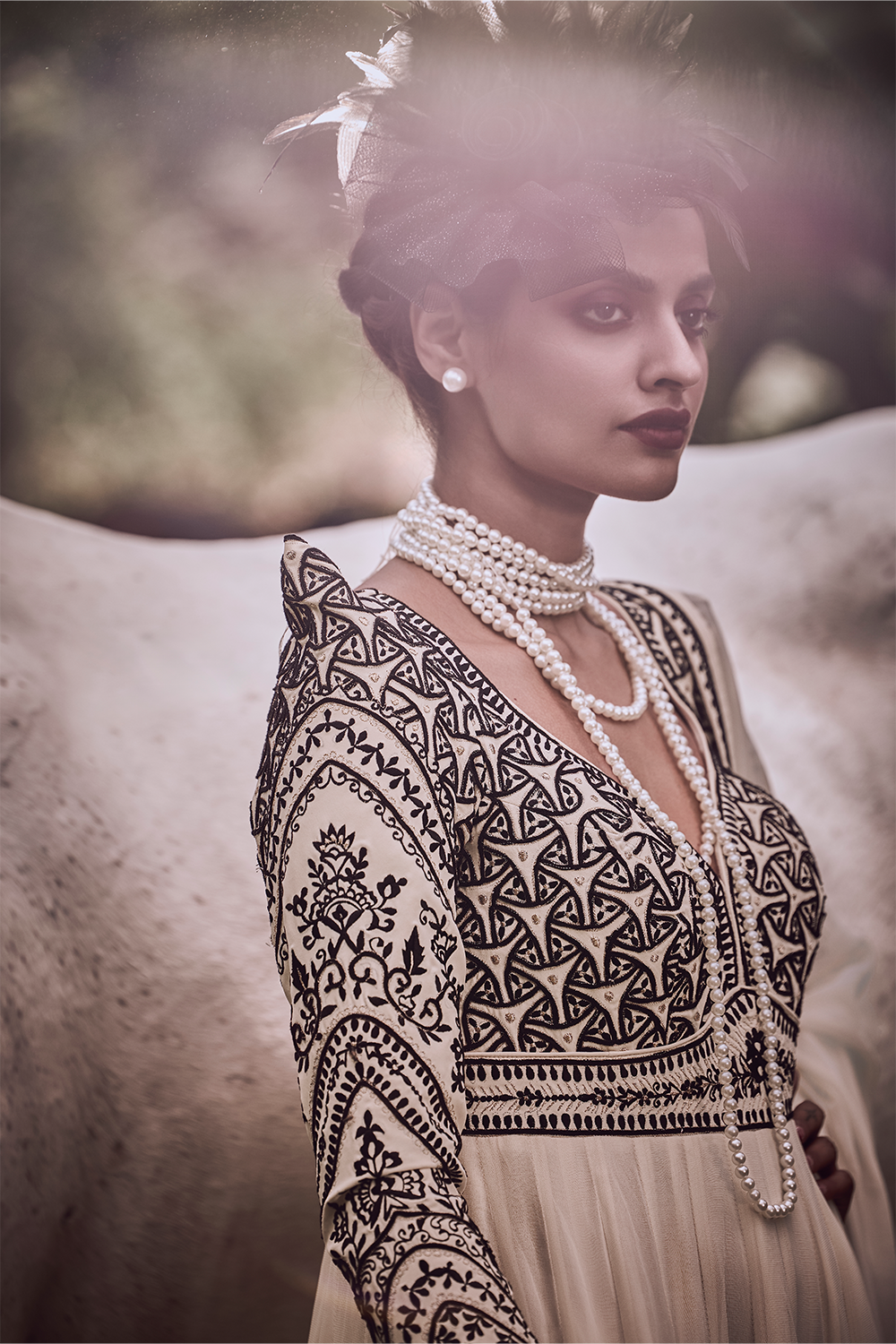 Tajdar Anarkali Set